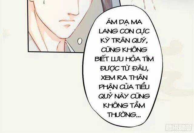 Tuyệt Thế Luyện Đan Sư - Chapter 17 - Trang 30