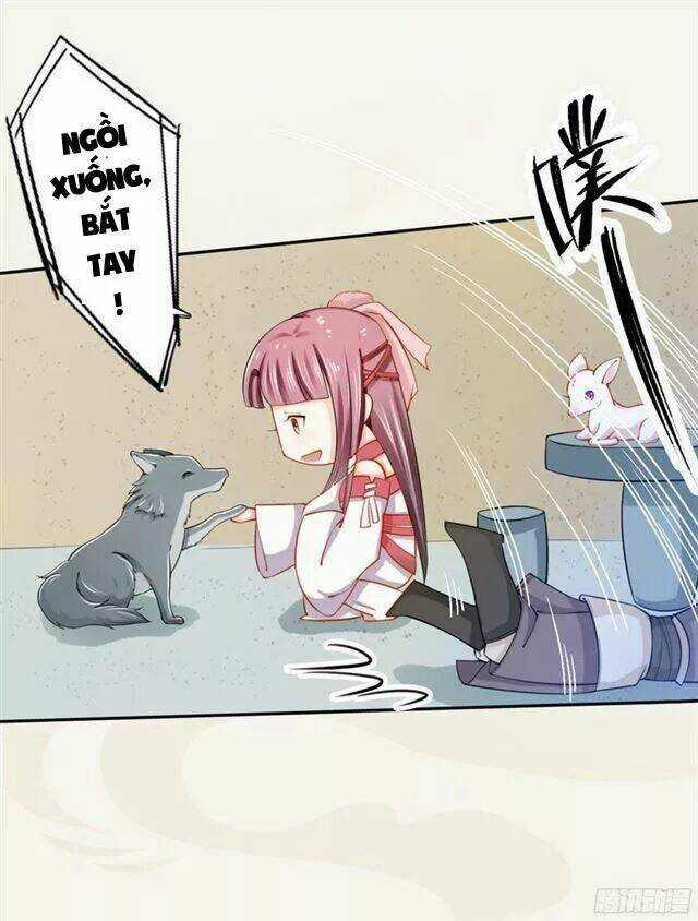 Tuyệt Thế Luyện Đan Sư - Chapter 17 - Trang 35