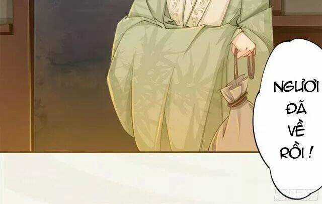 Tuyệt Thế Luyện Đan Sư - Chapter 17 - Trang 8