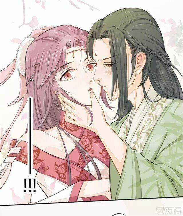 Tuyệt Thế Luyện Đan Sư - Chapter 21 - Trang 23