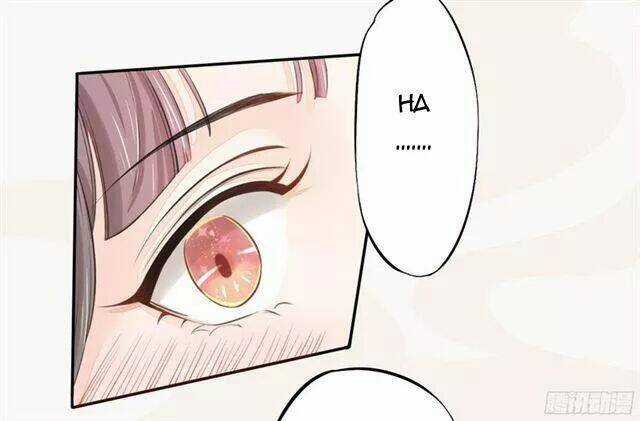 Tuyệt Thế Luyện Đan Sư - Chapter 21 - Trang 24