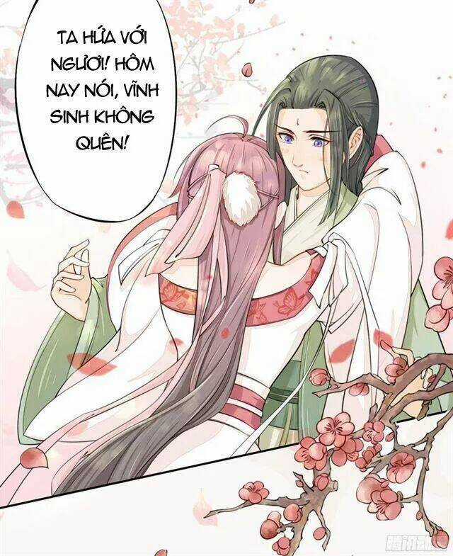 Tuyệt Thế Luyện Đan Sư - Chapter 21 - Trang 27