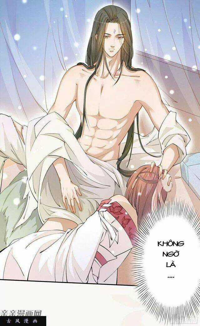 Tuyệt Thế Luyện Đan Sư - Chapter 27 - Trang 3