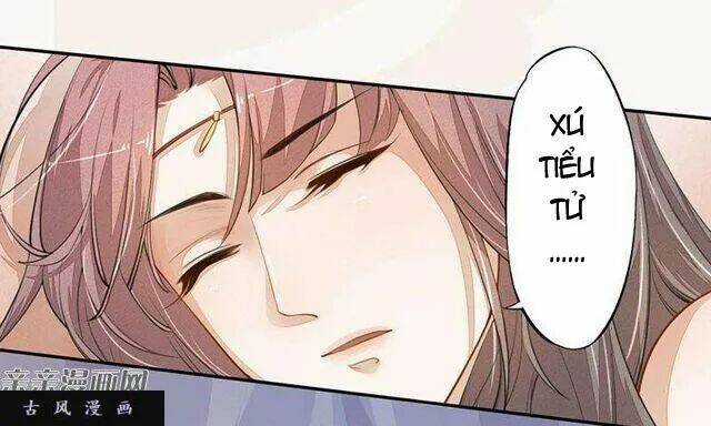 Tuyệt Thế Luyện Đan Sư - Chapter 27 - Trang 5