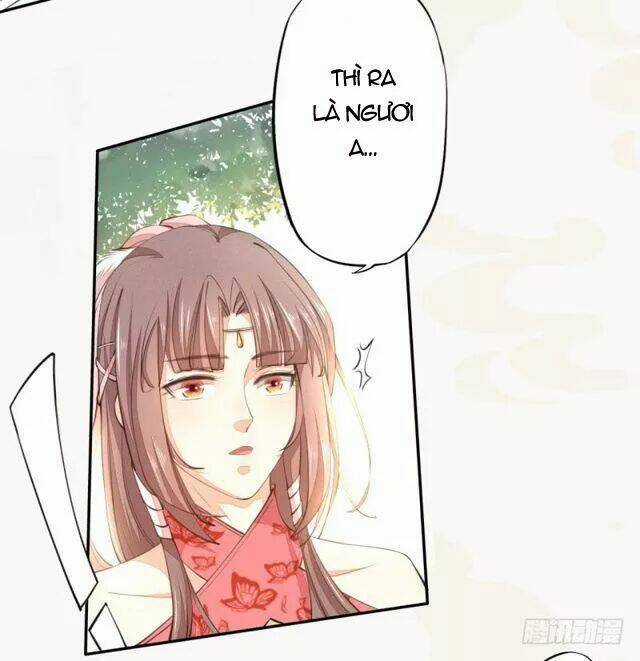 Tuyệt Thế Luyện Đan Sư - Chapter 28 - Trang 3