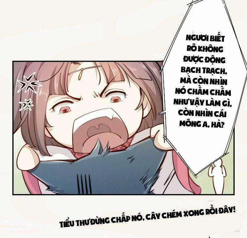 Tuyệt Thế Luyện Đan Sư - Chapter 33 - Trang 22