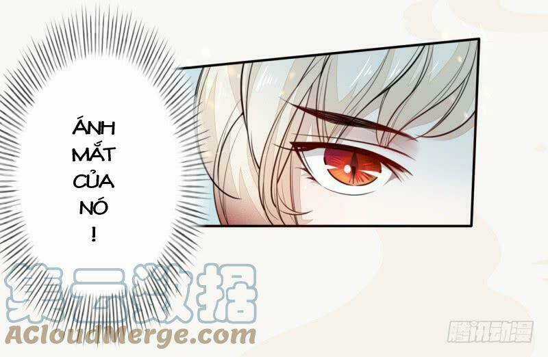 Tuyệt Thế Luyện Đan Sư - Chapter 33 - Trang 33