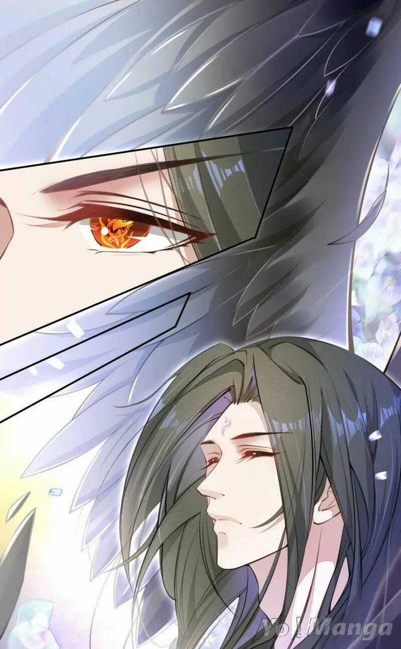 Tuyệt Thế Luyện Đan Sư - Chapter 48 - Trang 2