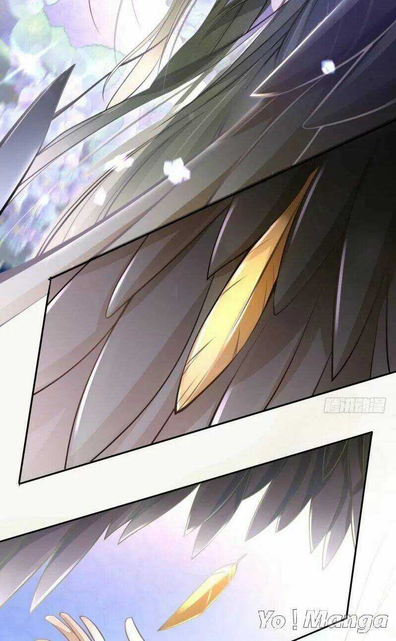 Tuyệt Thế Luyện Đan Sư - Chapter 48 - Trang 3