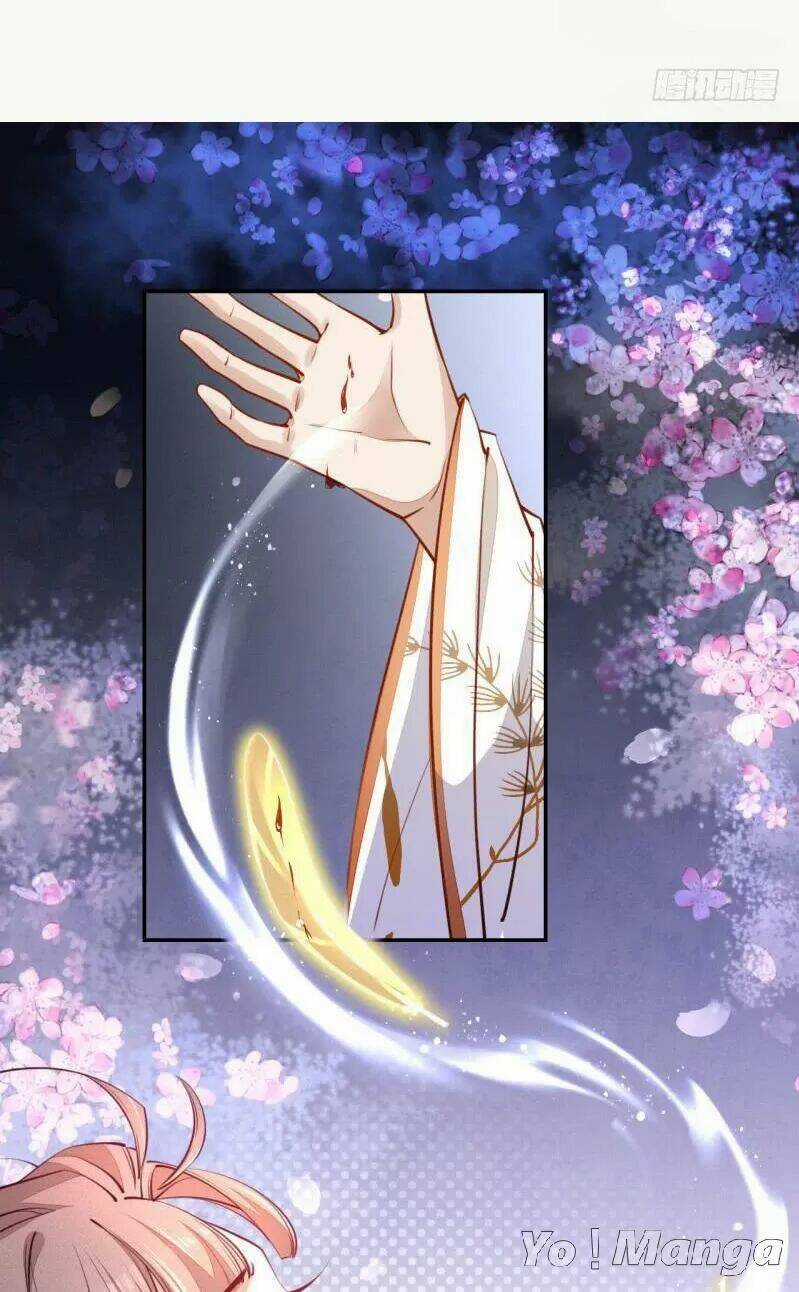 Tuyệt Thế Luyện Đan Sư - Chapter 48 - Trang 5