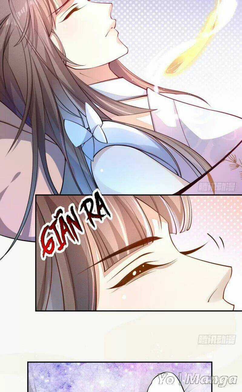 Tuyệt Thế Luyện Đan Sư - Chapter 48 - Trang 6