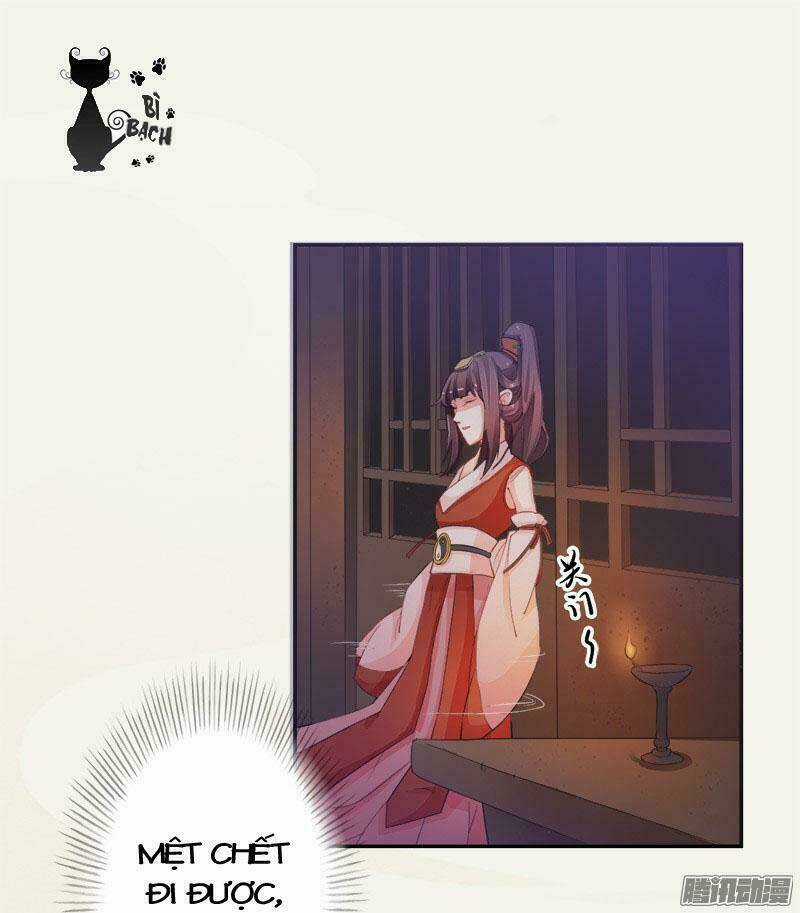 Tuyệt Thế Luyện Đan Sư - Chapter 5 - Trang 36