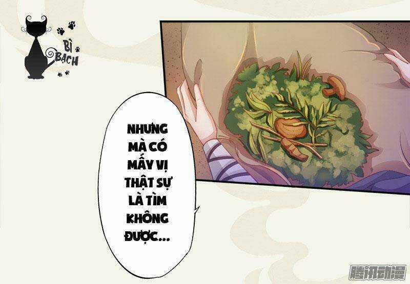 Tuyệt Thế Luyện Đan Sư - Chapter 5 - Trang 6