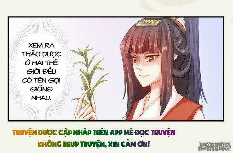 Tuyệt Thế Luyện Đan Sư - Chapter 5 - Trang 7