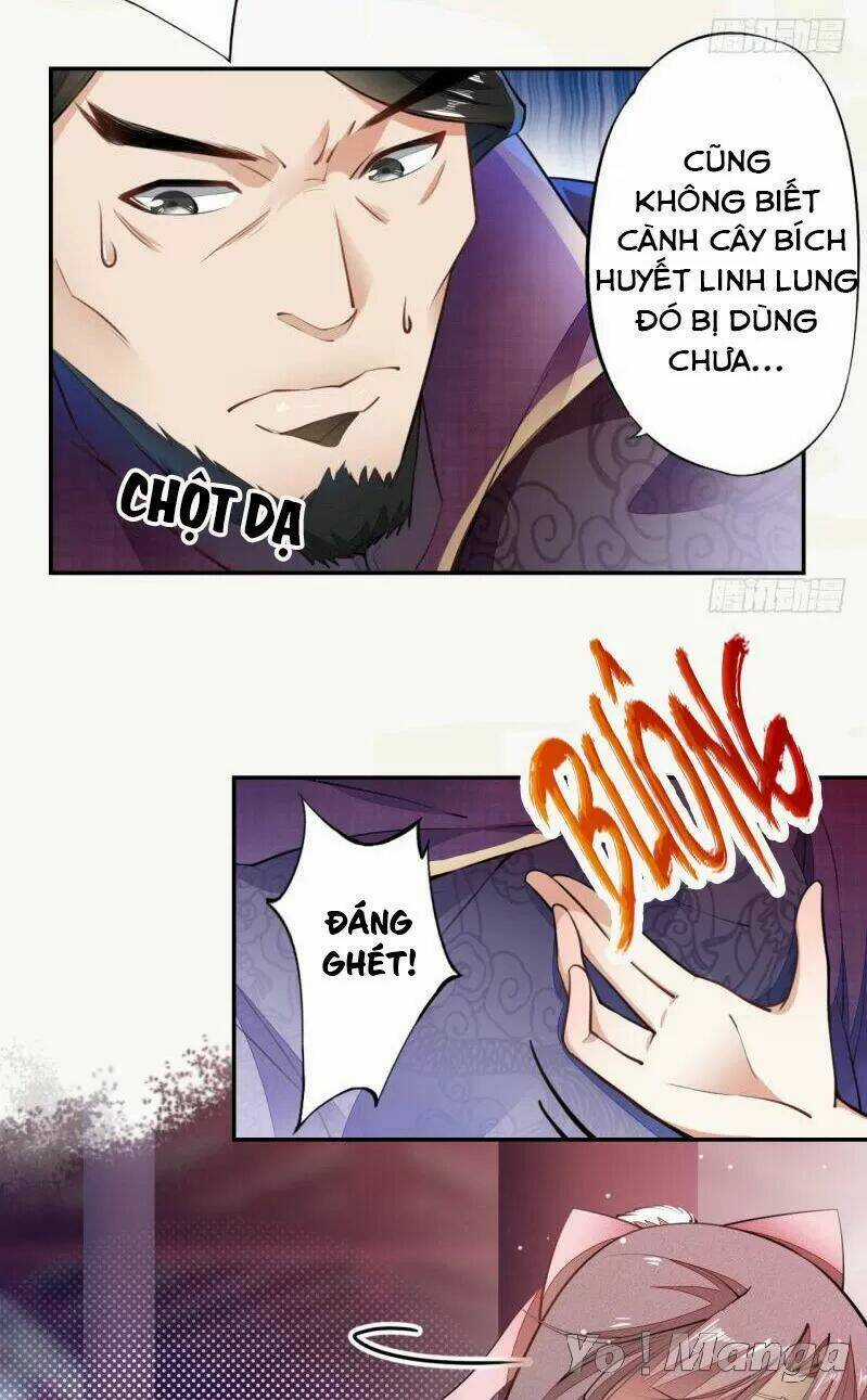 Tuyệt Thế Luyện Đan Sư - Chapter 50 - Trang 3