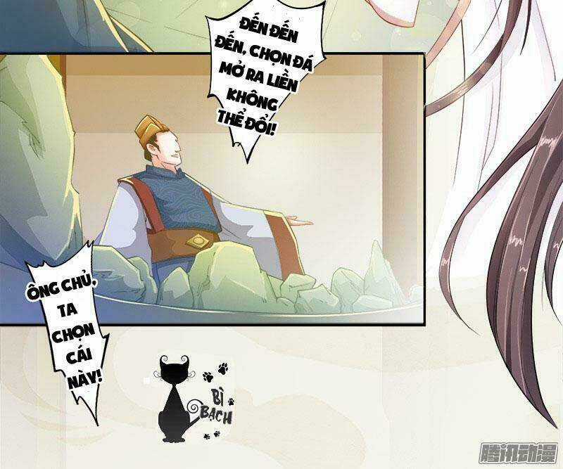 Tuyệt Thế Luyện Đan Sư - Chapter 6 - Trang 3