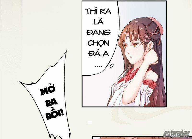 Tuyệt Thế Luyện Đan Sư - Chapter 6 - Trang 4