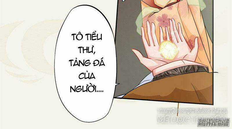 Tuyệt Thế Luyện Đan Sư - Chapter 6 - Trang 41