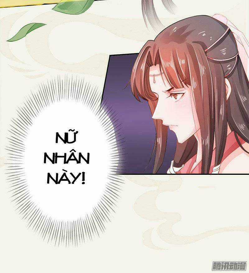 Tuyệt Thế Luyện Đan Sư - Chapter 6 - Trang 48