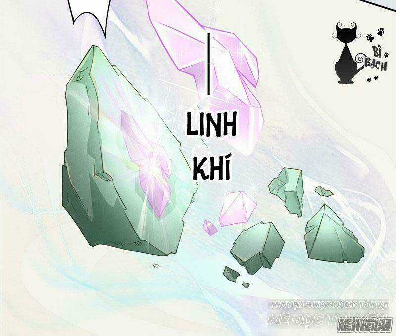 Tuyệt Thế Luyện Đan Sư - Chapter 6 - Trang 6