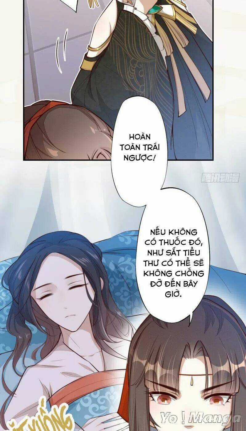 Tuyệt Thế Luyện Đan Sư - Chapter 64 - Trang 11