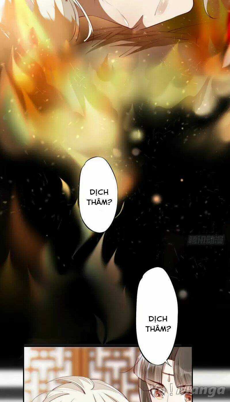 Tuyệt Thế Luyện Đan Sư - Chapter 65 - Trang 12