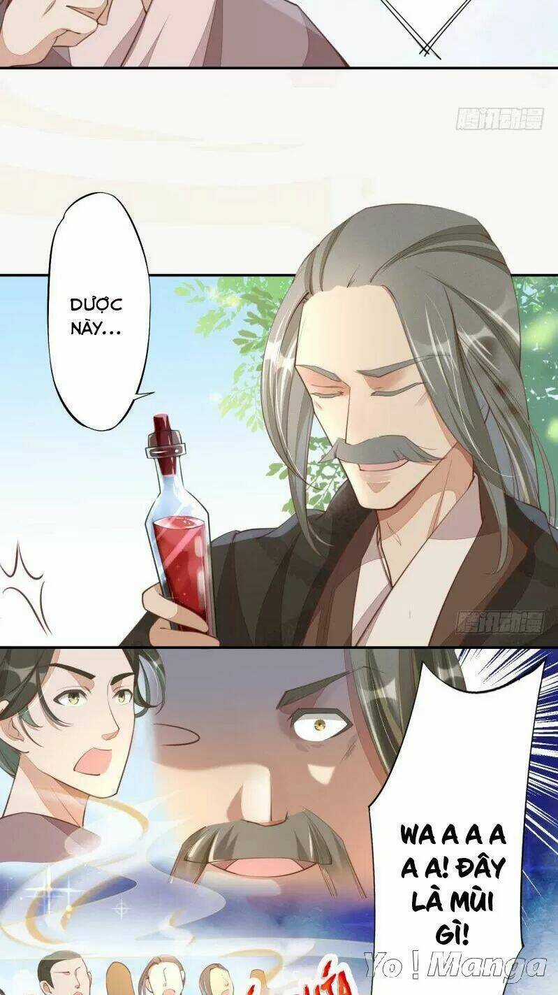 Tuyệt Thế Luyện Đan Sư - Chapter 66 - Trang 18