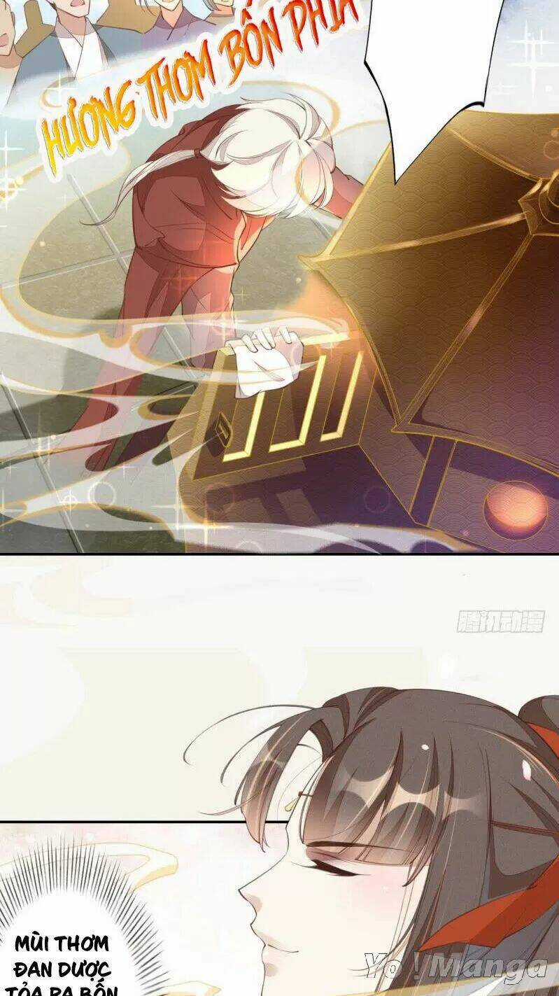 Tuyệt Thế Luyện Đan Sư - Chapter 66 - Trang 19