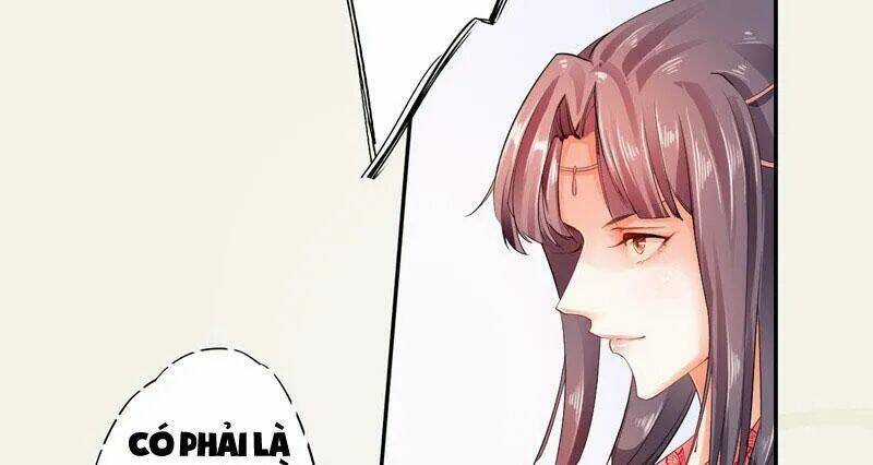 Tuyệt Thế Luyện Đan Sư - Chapter 7 - Trang 3