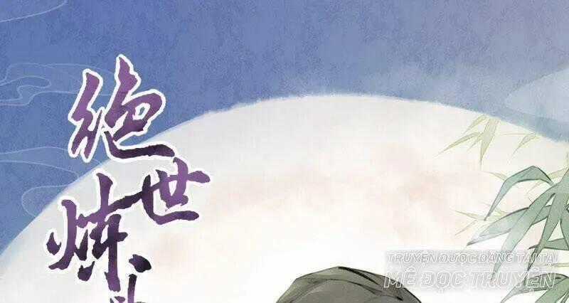 Tuyệt Thế Luyện Đan Sư - Chapter 8 - Trang 1