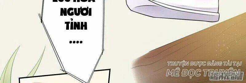 Tuyệt Thế Luyện Đan Sư - Chapter 8 - Trang 6