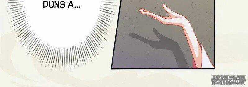 Tuyệt Thế Luyện Đan Sư - Chapter 8 - Trang 64