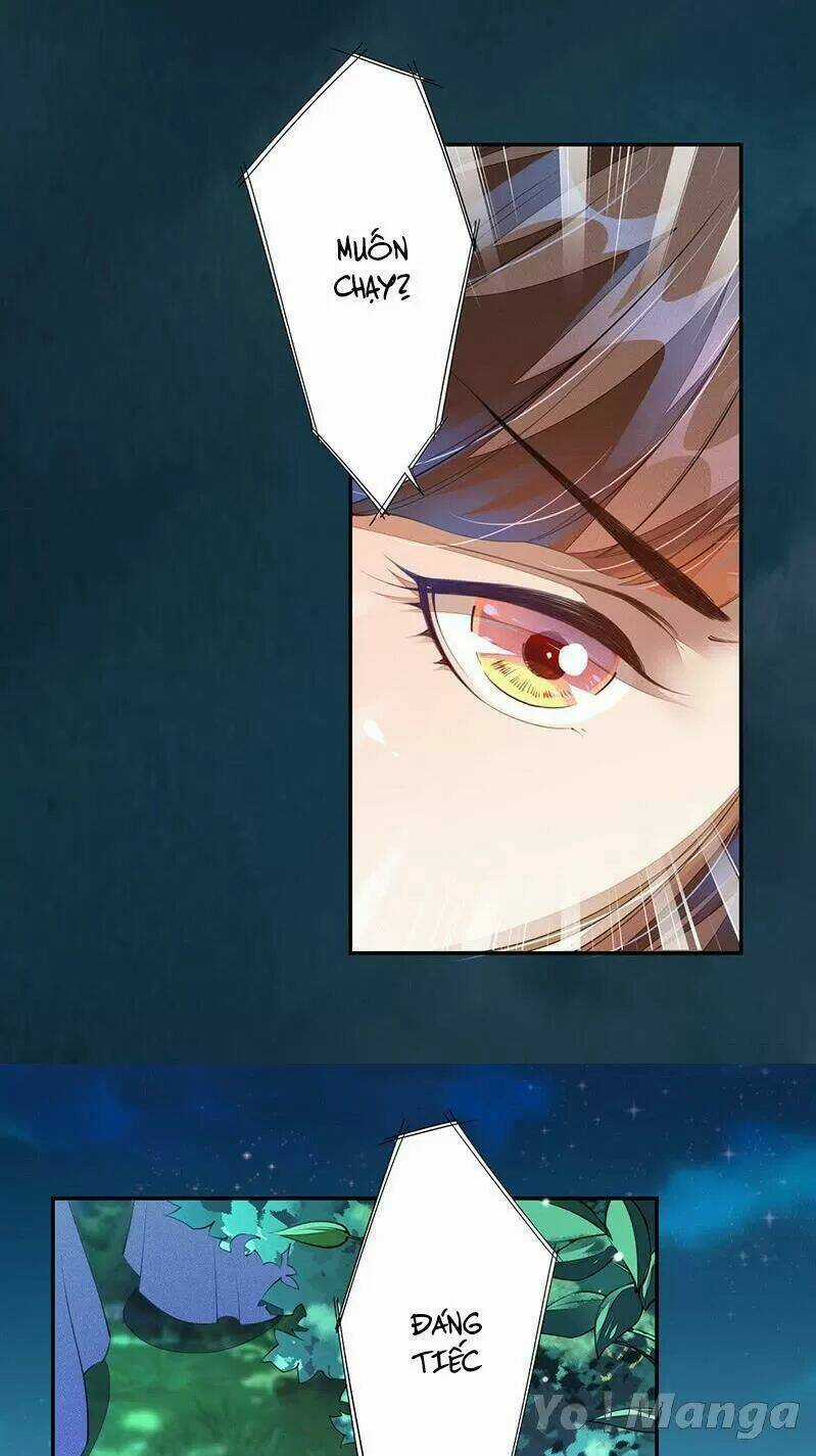 Tuyệt Thế Luyện Đan Sư - Chapter 83 - Trang 5