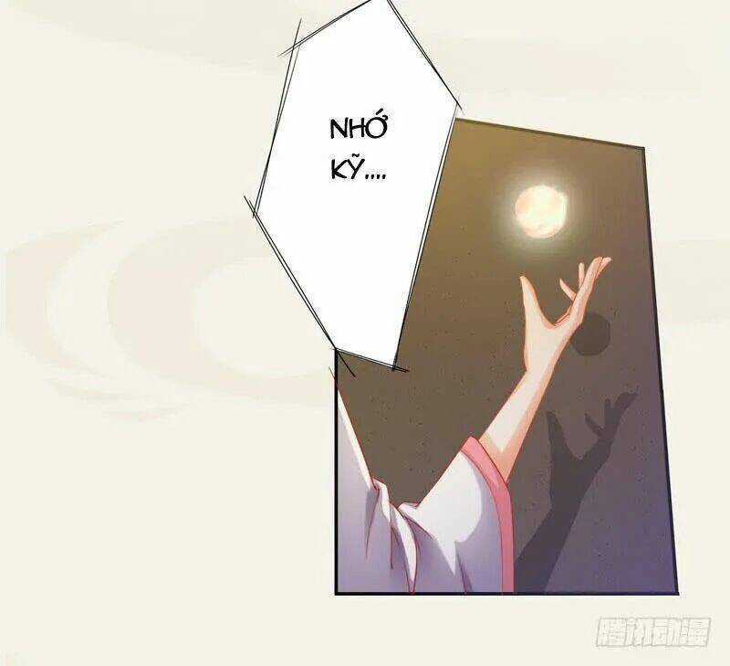 Tuyệt Thế Luyện Đan Sư - Chapter 9 - Trang 23