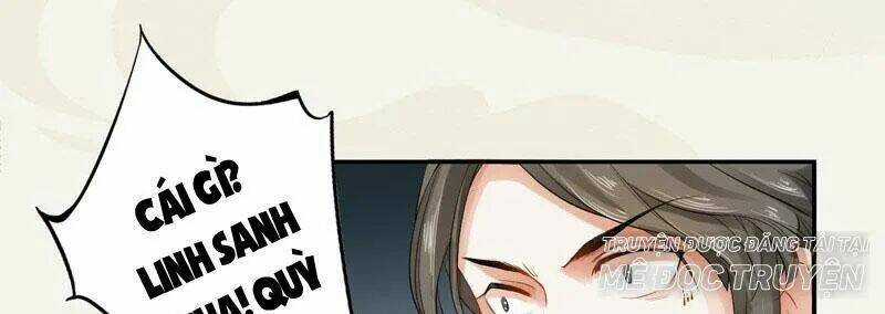 Tuyệt Thế Luyện Đan Sư - Chapter 9 - Trang 36