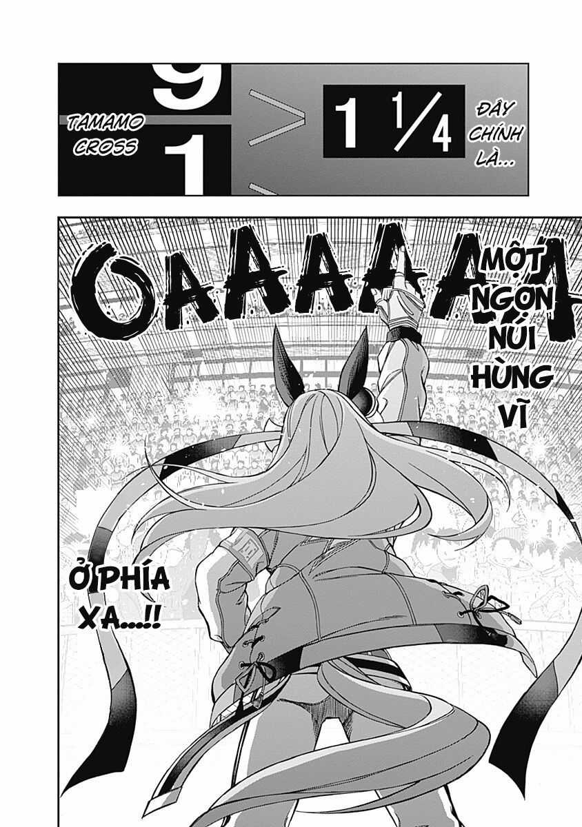 Uma Musume: Cinderella Gray - Chapter 43 - Trang 19