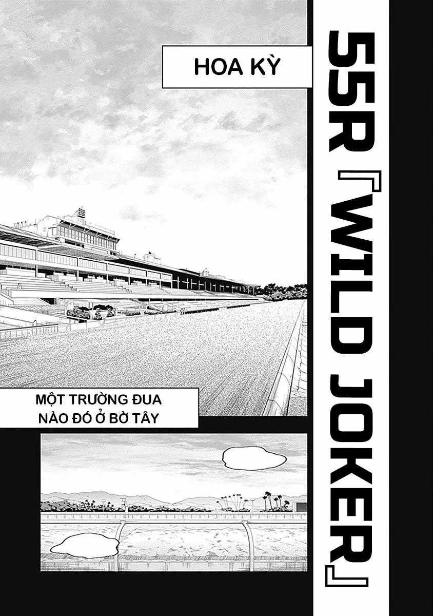 Uma Musume: Cinderella Gray - Chapter 55 - Trang 2