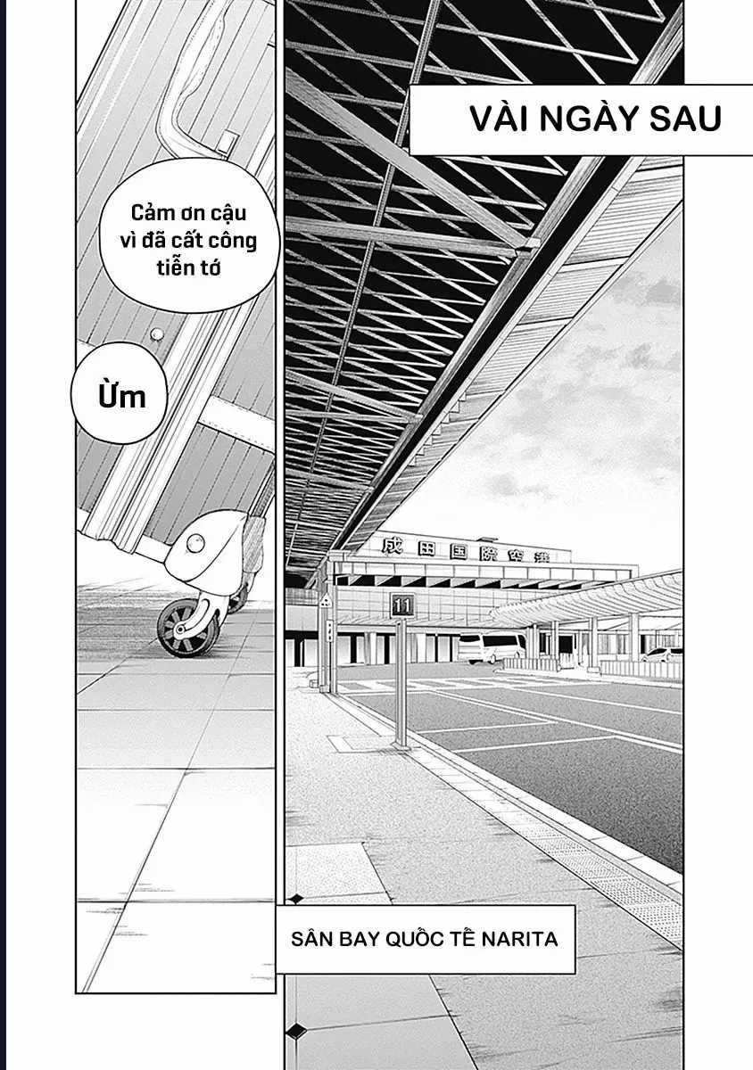 Uma Musume: Cinderella Gray - Chapter 59 - Trang 8