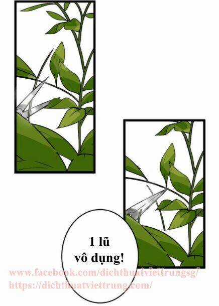 Ứng Dụng Thẩm Mỹ 2 - Chapter 0 - Trang 3