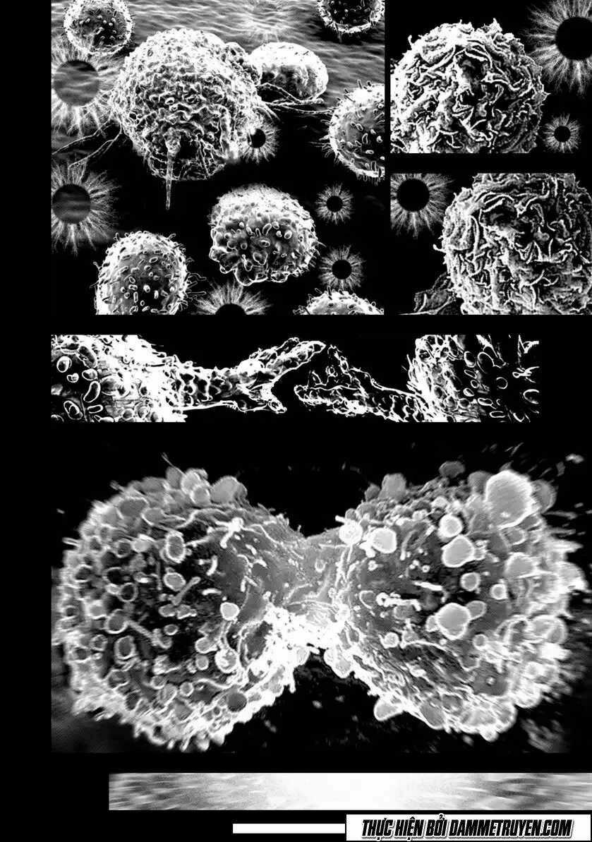 Unity of Heaven - Chapter 63 - Trang 11