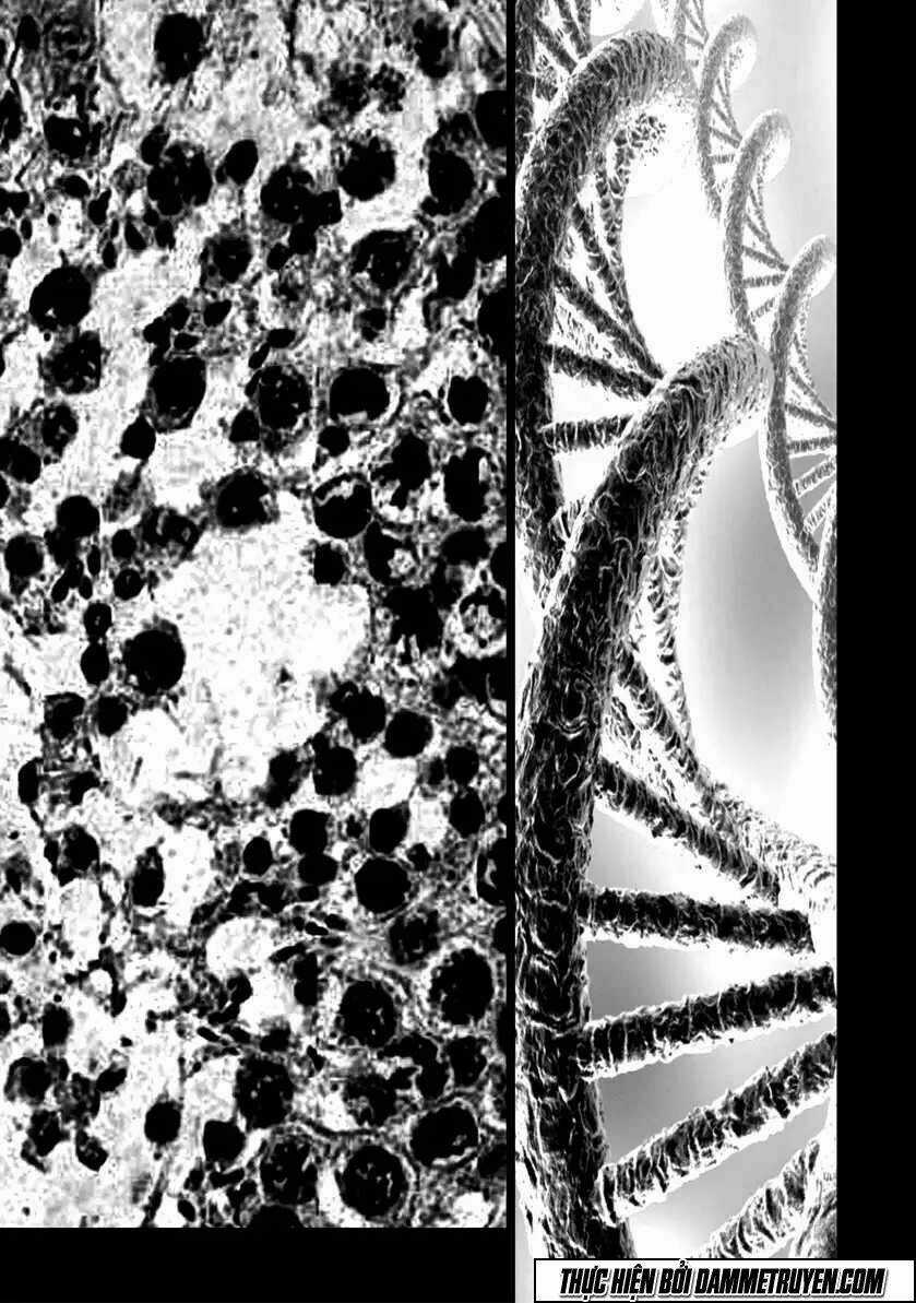 Unity of Heaven - Chapter 63 - Trang 10