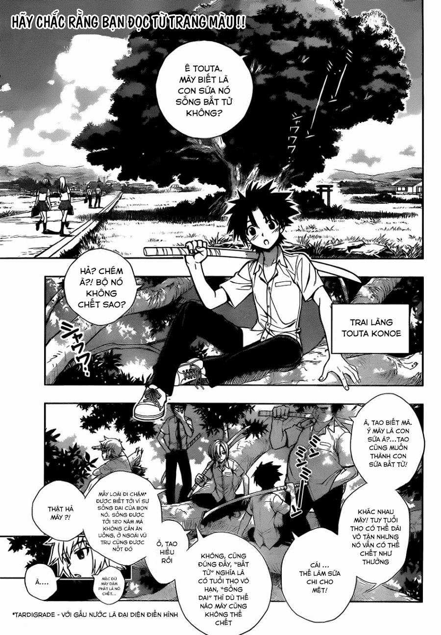 Uq Holder - Chapter 1 - Trang 8
