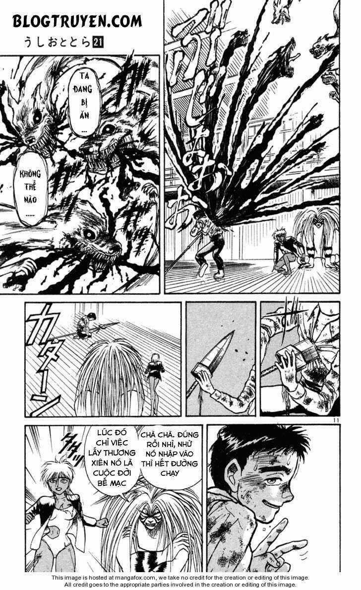 Ushio And Tora - Chapter 192 - Trang 13