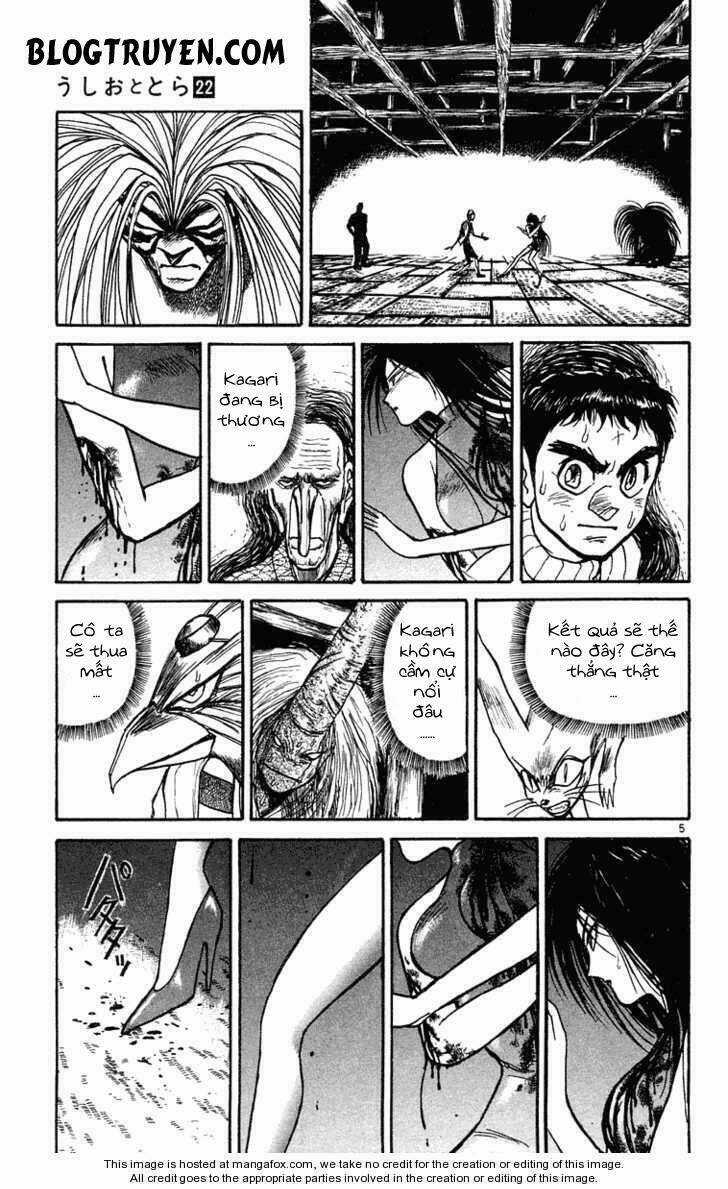 Ushio And Tora - Chapter 206 - Trang 8