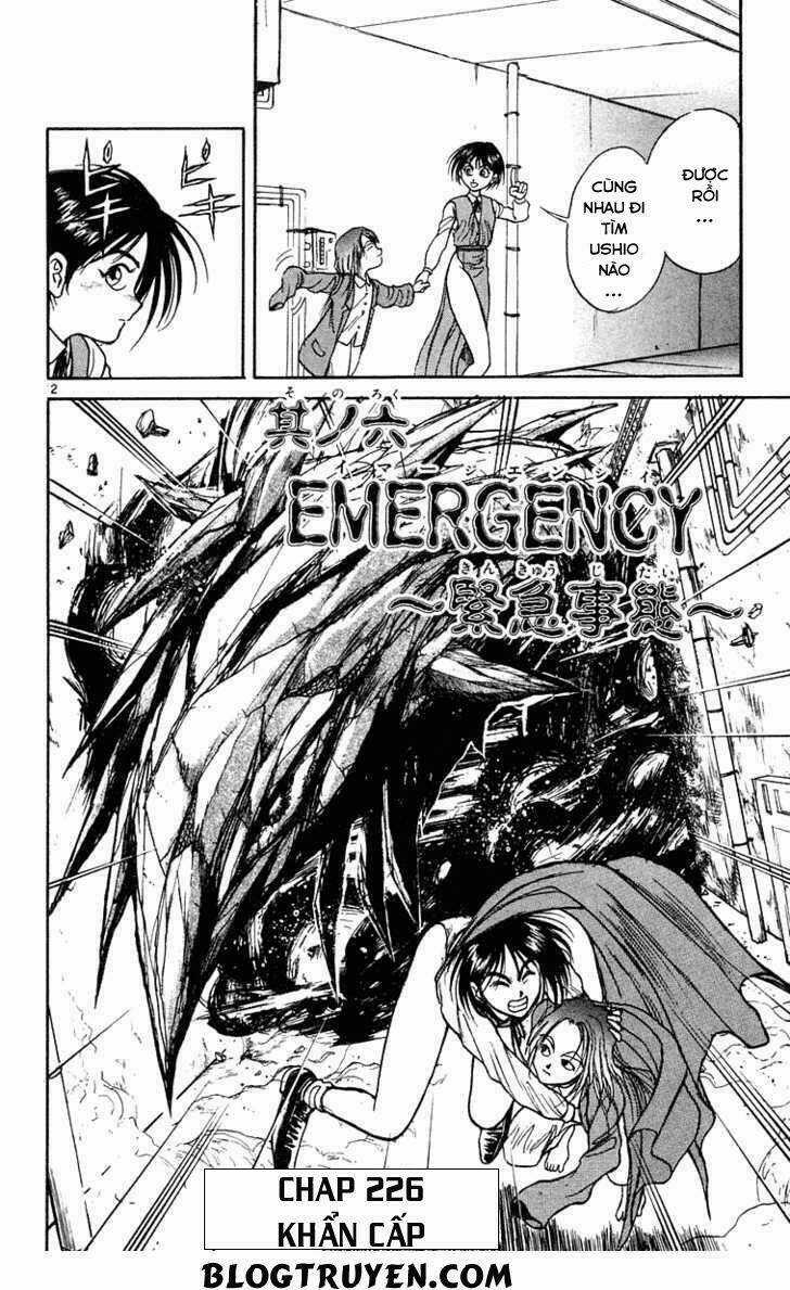 Ushio And Tora - Chapter 226 - Trang 5