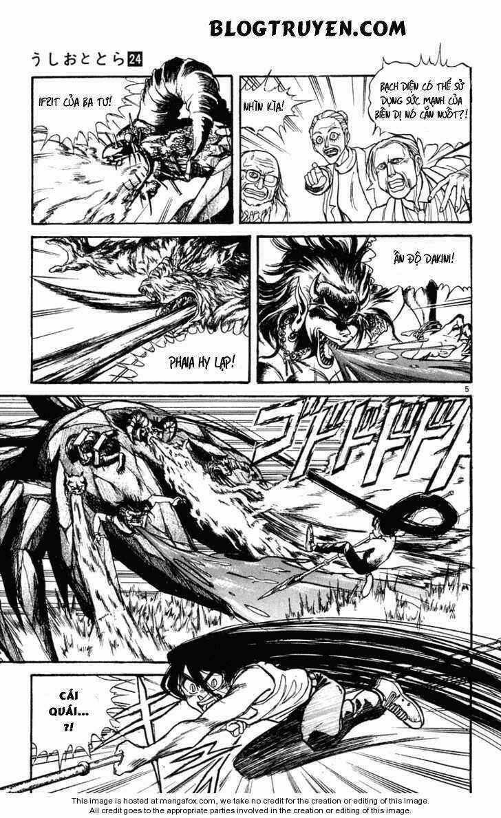 Ushio And Tora - Chapter 227 - Trang 8