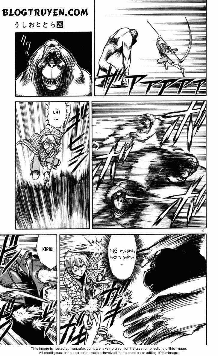 Ushio And Tora - Chapter 232 - Trang 12