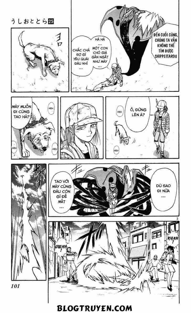 Ushio And Tora - Chapter 234 - Trang 7