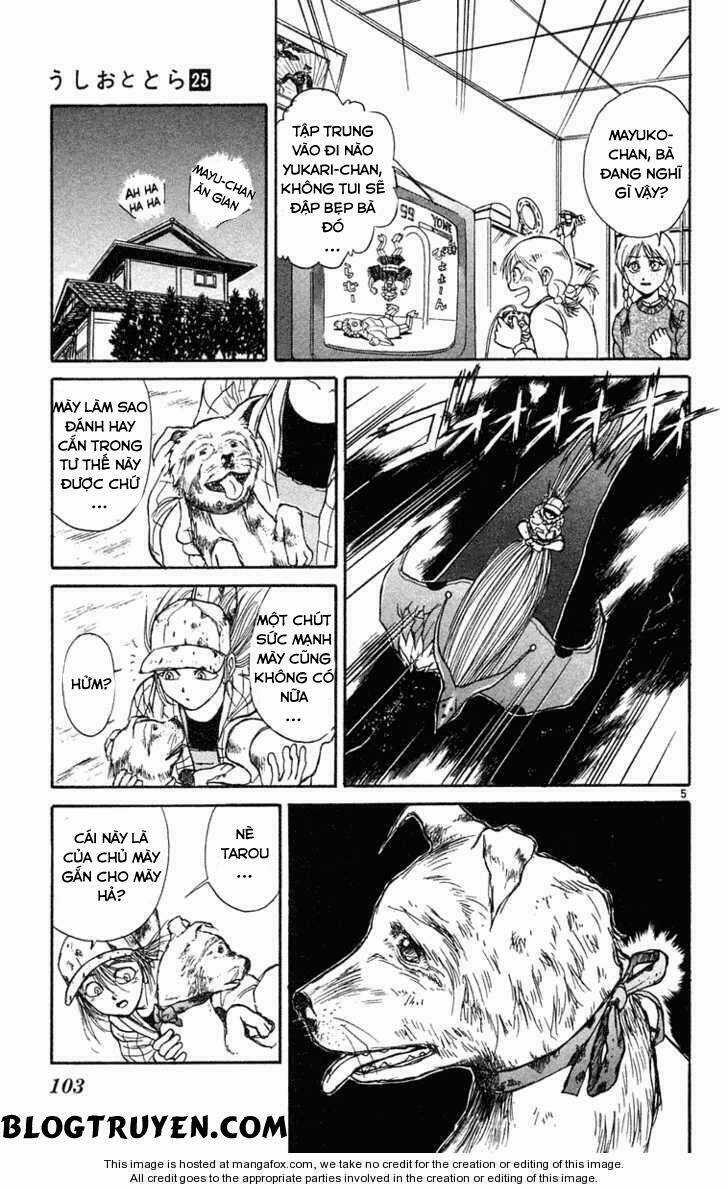 Ushio And Tora - Chapter 234 - Trang 9