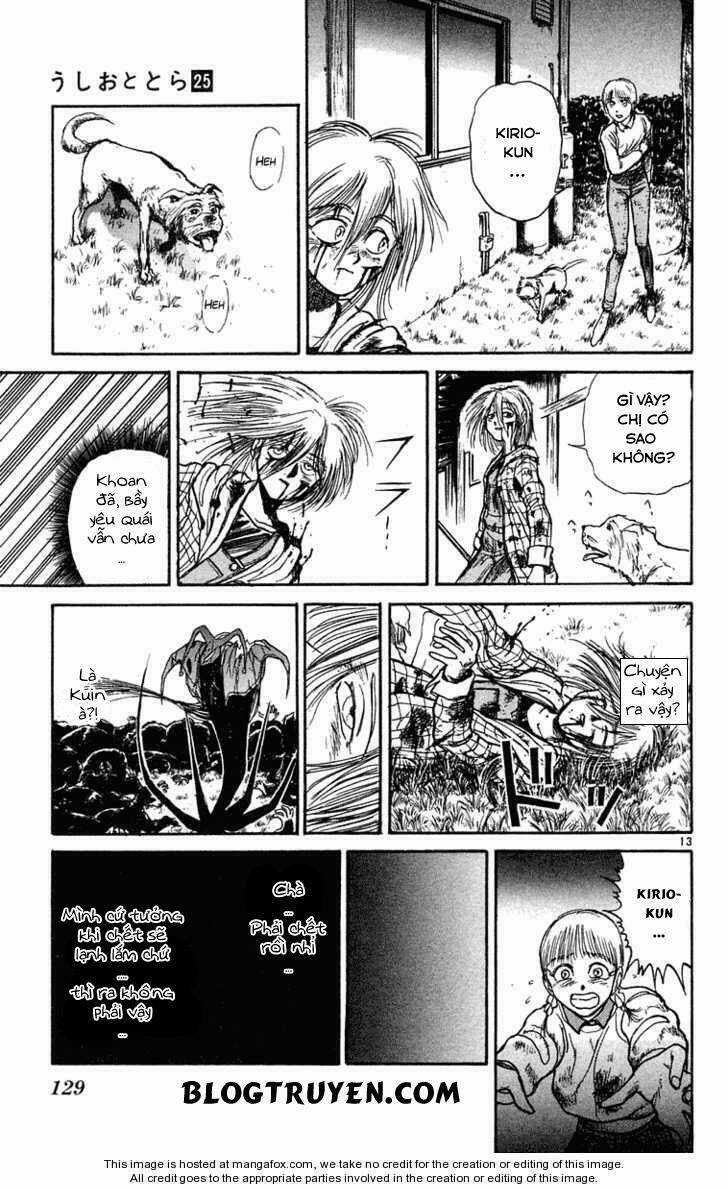 Ushio And Tora - Chapter 235 - Trang 16